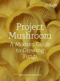 bokomslag Project Mushroom