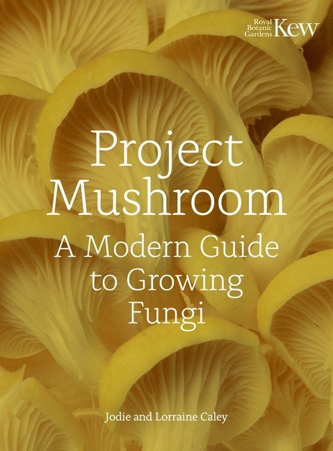 Project Mushroom 1