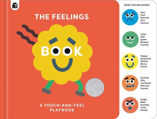 The Feelings Book: Touch-and-Feel Emotions 1