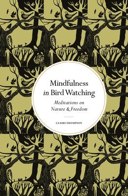 Mindfulness in Bird Watching 1