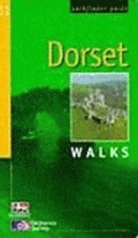 Dorset 1