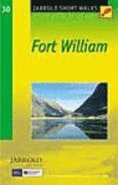 bokomslag Fort William