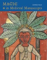 bokomslag Magic in Medieval Manuscripts