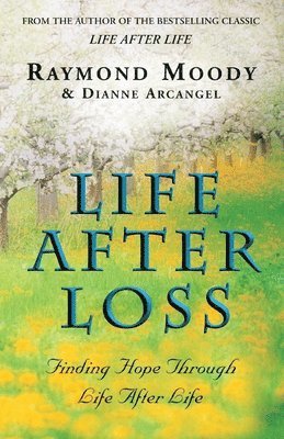 Raymond Moody - Life After Loss, Häftad