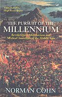 bokomslag Pursuit Of The Millennium
