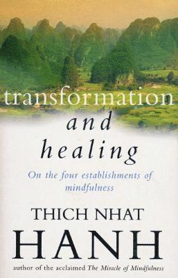 bokomslag Transformation And Healing