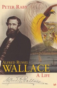 bokomslag Alfred Russel Wallace