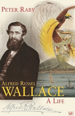 bokomslag Alfred Russel Wallace