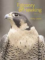 bokomslag Falconry and Hawking