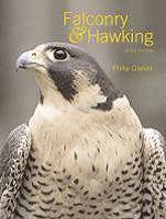Falconry and Hawking 1