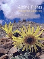 Alpine Plants 1