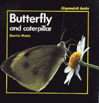 bokomslag Butterfly and Caterpillar