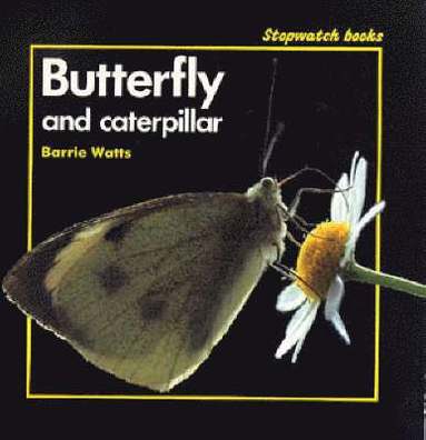 bokomslag Butterfly and Caterpillar