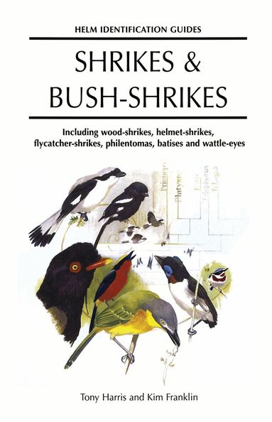 Tony Harris - Shrikes and Bush-shrikes, Inbunden