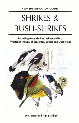 bokomslag Shrikes and Bush-shrikes