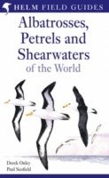 bokomslag Albatrosses, Petrels and Shearwaters of the World