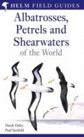 bokomslag Field Guide to Albatrosses, Petrels and Shearwaters of the World