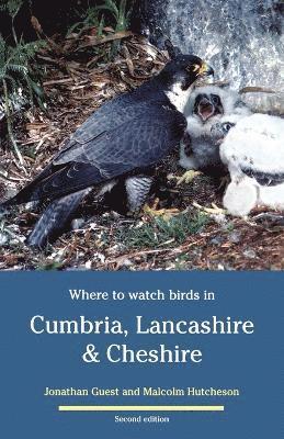 bokomslag Where to Watch Birds in Cumbria, Lancashire & Cheshire
