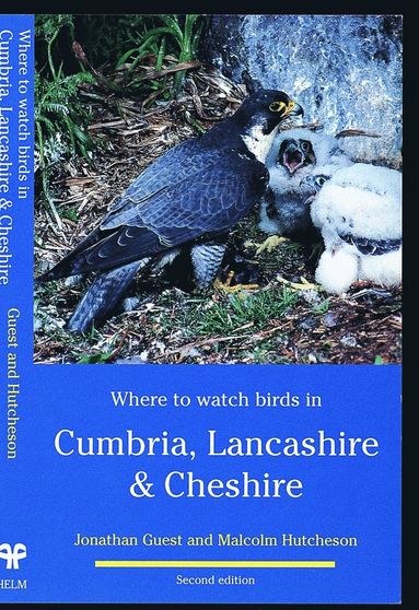 bokomslag Where to Watch Birds in Cumbria, Lancashire & Cheshire