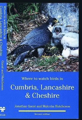 Where to Watch Birds in Cumbria, Lancashire & Cheshire 1