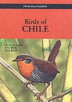 bokomslag Birds of Chile