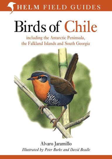 bokomslag Birds of Chile