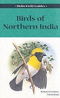 Birds of Northern India