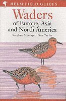 bokomslag Field Guide to Waders of Europe, Asia and North America
