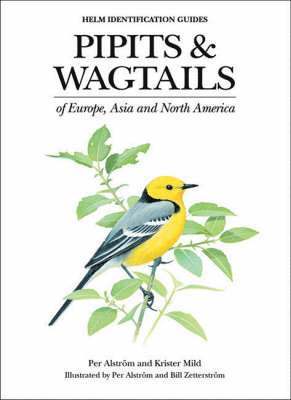 bokomslag Pipits and Wagtails of Europe, Asia and North America