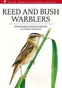 bokomslag Reed and Bush Warblers