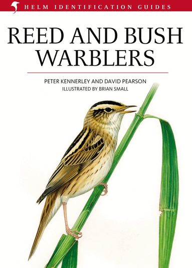 David Pearson, Peter Kennerley - Reed and Bush Warblers, Inbunden