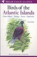 bokomslag A Field Guide to the Birds of the Atlantic Islands