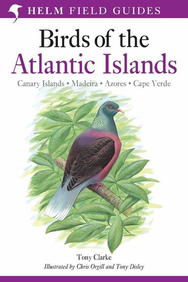 Tony Clarke - Field Guide to the Birds of the Atlantic Islands, Häftad