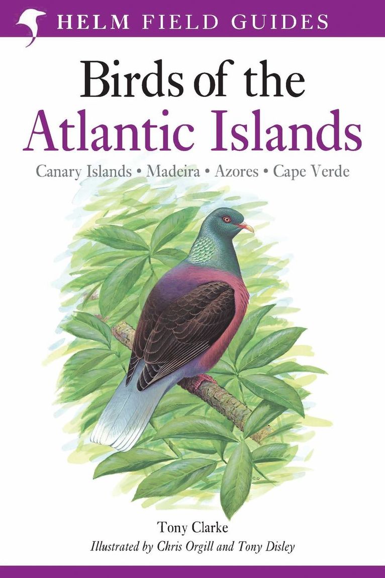 Tony Clarke - Field Guide to the Birds of the Atlantic Islands, Häftad