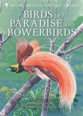 Birds of Paradise and Bowerbirds 1