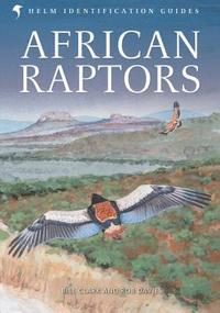bokomslag African Raptors