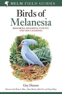 bokomslag Field guide to Birds of Melanesia