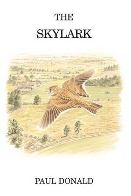 bokomslag The Skylark