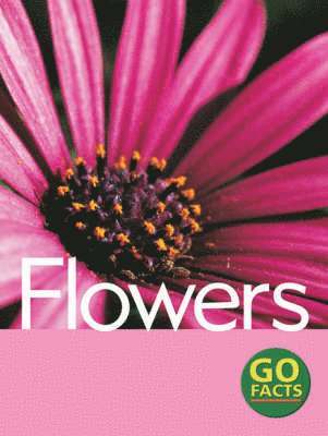 Paul McEvoy, Katy Pike - Flowers, Inbunden