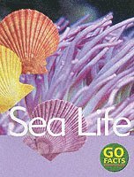 bokomslag Sea Life