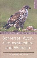 WHERE TO WATCH BIRDS SOMERSET, GLOUCESTERSHIRE AND WILTSHIRE