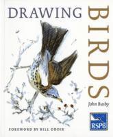 bokomslag Drawing Birds