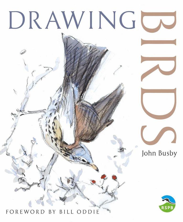 John Busby - Drawing Birds, Häftad