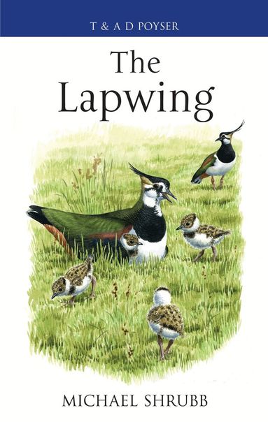 Michael Shrubb - Lapwing, Inbunden
