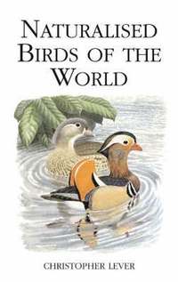 bokomslag Naturalised Birds of the World