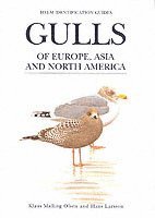 Gulls of Europe, Asia and North America 1