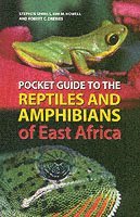 bokomslag Pocket Guide to the Reptiles and Amphibians of East Africa