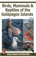 bokomslag Birds, Mammals and Reptiles of the Galapagos Islands