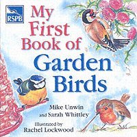 bokomslag RSPB My First Book of Garden Birds