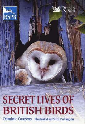 Dominic Couzens - Secret Lives of British Birds, Inbunden
